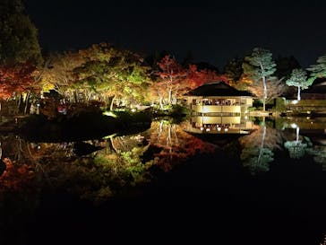 国営昭和記念公園 秋の夜散歩に投稿された画像（2022/11/18）