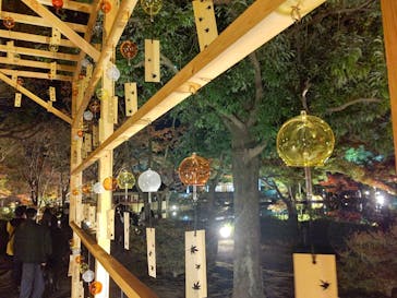 国営昭和記念公園 秋の夜散歩に投稿された画像（2022/11/18）