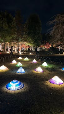 国営昭和記念公園 秋の夜散歩に投稿された画像（2022/11/18）