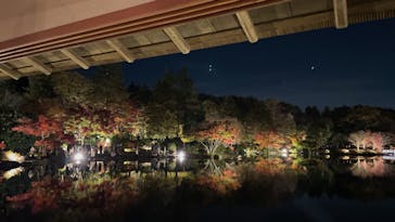 国営昭和記念公園 秋の夜散歩に投稿された画像（2022/11/18）