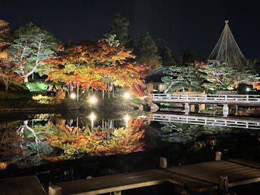 国営昭和記念公園 秋の夜散歩に投稿された画像（2022/11/18）