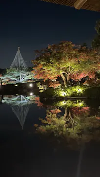 国営昭和記念公園 秋の夜散歩に投稿された画像（2022/11/18）
