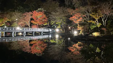 国営昭和記念公園 秋の夜散歩に投稿された画像（2022/11/18）