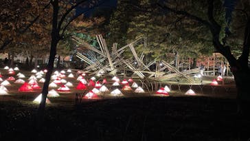 国営昭和記念公園 秋の夜散歩に投稿された画像（2022/11/18）