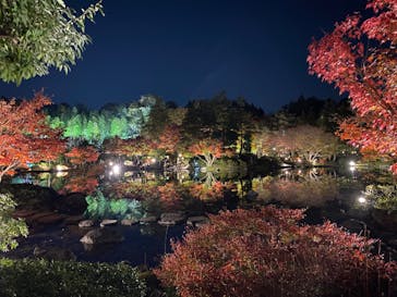 国営昭和記念公園 秋の夜散歩に投稿された画像（2022/11/18）