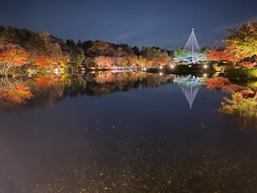 国営昭和記念公園 秋の夜散歩に投稿された画像（2022/11/18）