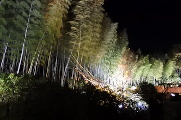 国営昭和記念公園 秋の夜散歩に投稿された画像（2022/11/18）