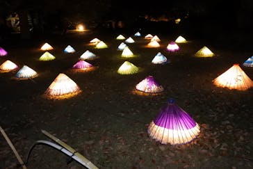 国営昭和記念公園 秋の夜散歩に投稿された画像（2022/11/18）