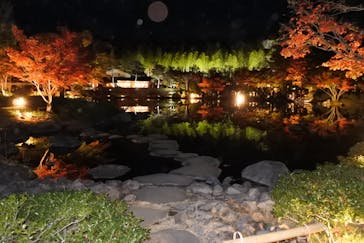 国営昭和記念公園 秋の夜散歩に投稿された画像（2022/11/18）