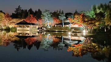 国営昭和記念公園 秋の夜散歩に投稿された画像（2022/11/18）
