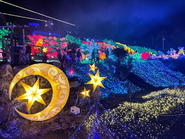 伊豆ぐらんぱる公園に投稿された画像（2022/11/18）