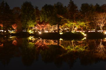 国営昭和記念公園 秋の夜散歩に投稿された画像（2022/11/18）