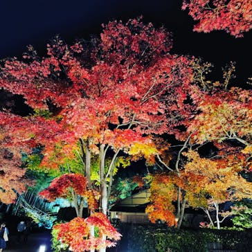 国営昭和記念公園 秋の夜散歩に投稿された画像（2022/11/18）