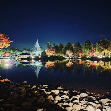 国営昭和記念公園 秋の夜散歩に投稿された画像（2022/11/18）
