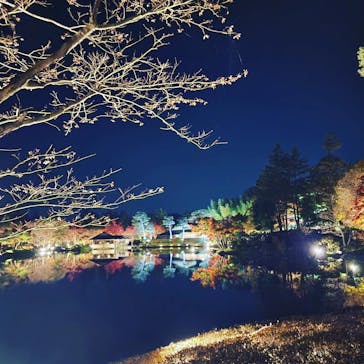 国営昭和記念公園 秋の夜散歩に投稿された画像（2022/11/18）