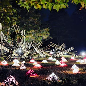 国営昭和記念公園 秋の夜散歩に投稿された画像（2022/11/18）