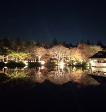 国営昭和記念公園 秋の夜散歩に投稿された画像（2022/11/18）
