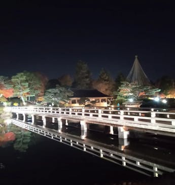 国営昭和記念公園 秋の夜散歩に投稿された画像（2022/11/18）