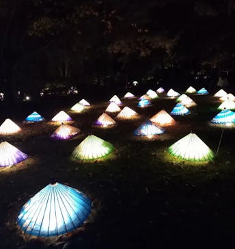 国営昭和記念公園 秋の夜散歩に投稿された画像（2022/11/18）