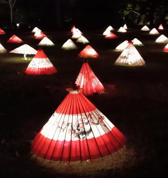 国営昭和記念公園 秋の夜散歩に投稿された画像（2022/11/18）