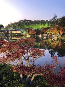 国営昭和記念公園 秋の夜散歩に投稿された画像（2022/11/18）