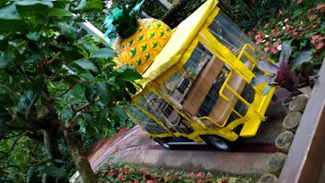 ナゴパイナップルパークに投稿された画像（2022/11/18）