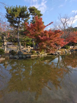 京阪電車に投稿された画像（2022/11/18）