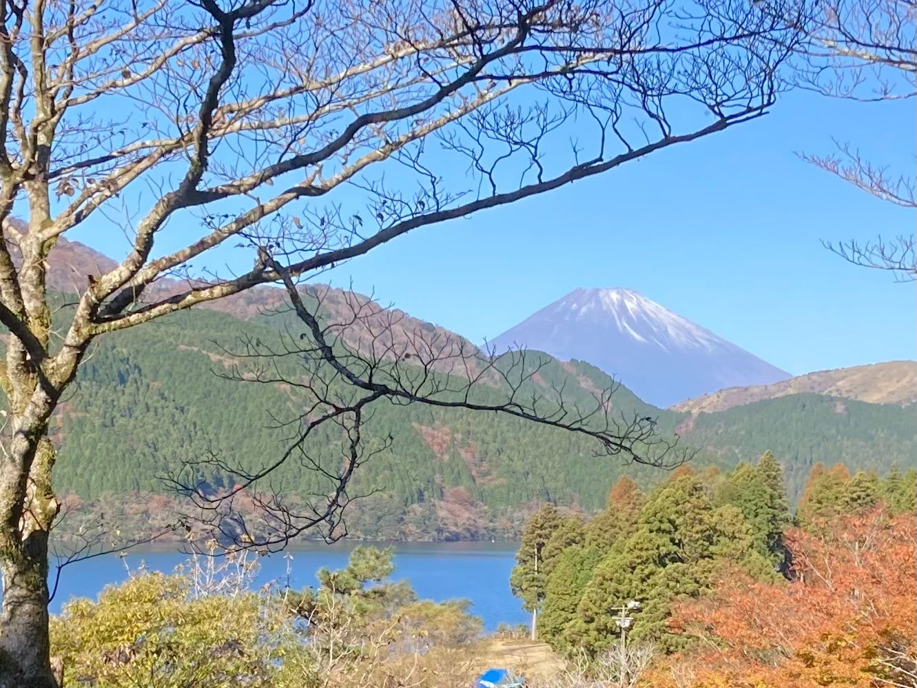 絶景日帰り温泉 龍宮殿本館 口コミ一覧 アソビュー