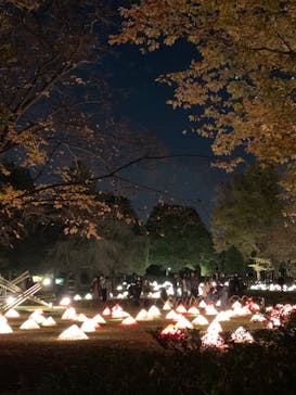 国営昭和記念公園 秋の夜散歩に投稿された画像（2022/11/19）