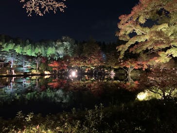 国営昭和記念公園 秋の夜散歩に投稿された画像（2022/11/19）