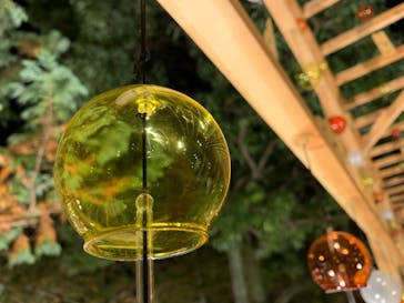 国営昭和記念公園 秋の夜散歩に投稿された画像（2022/11/19）