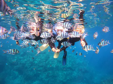 武藤潜水に投稿された画像（2022/11/19）