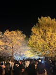 国営昭和記念公園 秋の夜散歩に投稿された画像（2022/11/19）