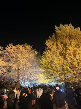 国営昭和記念公園 秋の夜散歩に投稿された画像（2022/11/19）