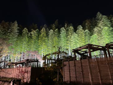 国営昭和記念公園 秋の夜散歩に投稿された画像（2022/11/19）