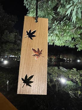 国営昭和記念公園 秋の夜散歩に投稿された画像（2022/11/19）