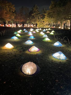 国営昭和記念公園 秋の夜散歩に投稿された画像（2022/11/19）