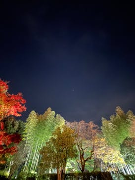 国営昭和記念公園 秋の夜散歩に投稿された画像（2022/11/19）