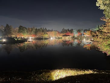 国営昭和記念公園 秋の夜散歩に投稿された画像（2022/11/19）