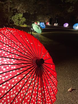 国営昭和記念公園 秋の夜散歩に投稿された画像（2022/11/19）