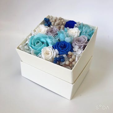 ずこうしつ〜sugamo〜に投稿された画像（2022/11/19）