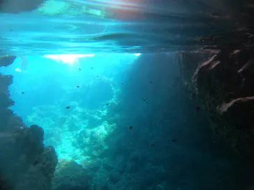 武藤潜水に投稿された画像（2022/11/19）