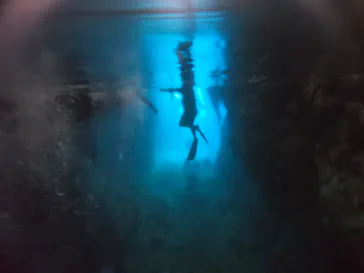 武藤潜水に投稿された画像（2022/11/19）