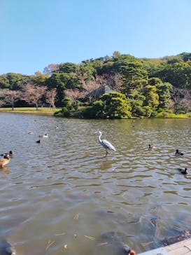 三溪園に投稿された画像（2022/11/19）