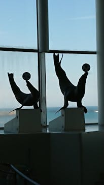 アクアワールド茨城県大洗水族館に投稿された画像（2022/11/19）