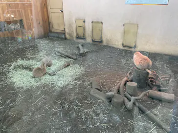 横浜・八景島シーパラダイスに投稿された画像（2022/11/19）