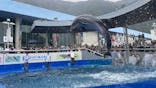 大分マリーンパレス水族館 「うみたまご」に投稿された画像（2022/11/19）