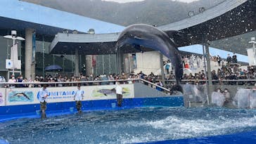大分マリーンパレス水族館 「うみたまご」に投稿された画像（2022/11/19）