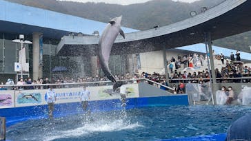 大分マリーンパレス水族館 「うみたまご」に投稿された画像（2022/11/19）
