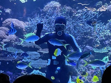 大分マリーンパレス水族館 「うみたまご」に投稿された画像（2022/11/19）